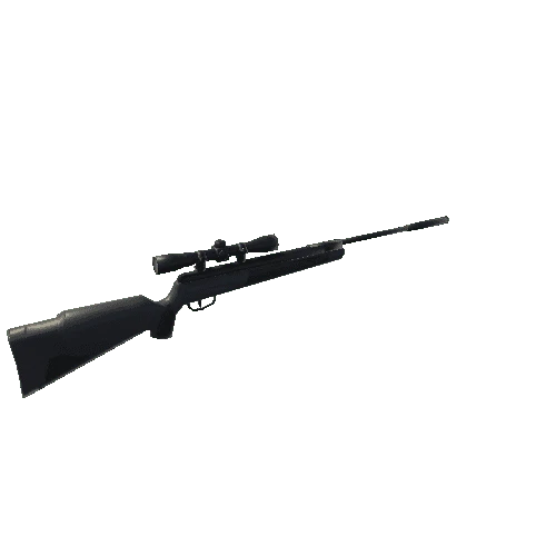 Hunting Rifle Clean New